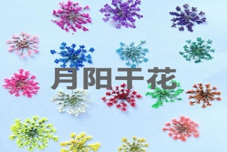 盐亭县羿宛竹淋浴房、淋浴器工程设备公司-首页形象图